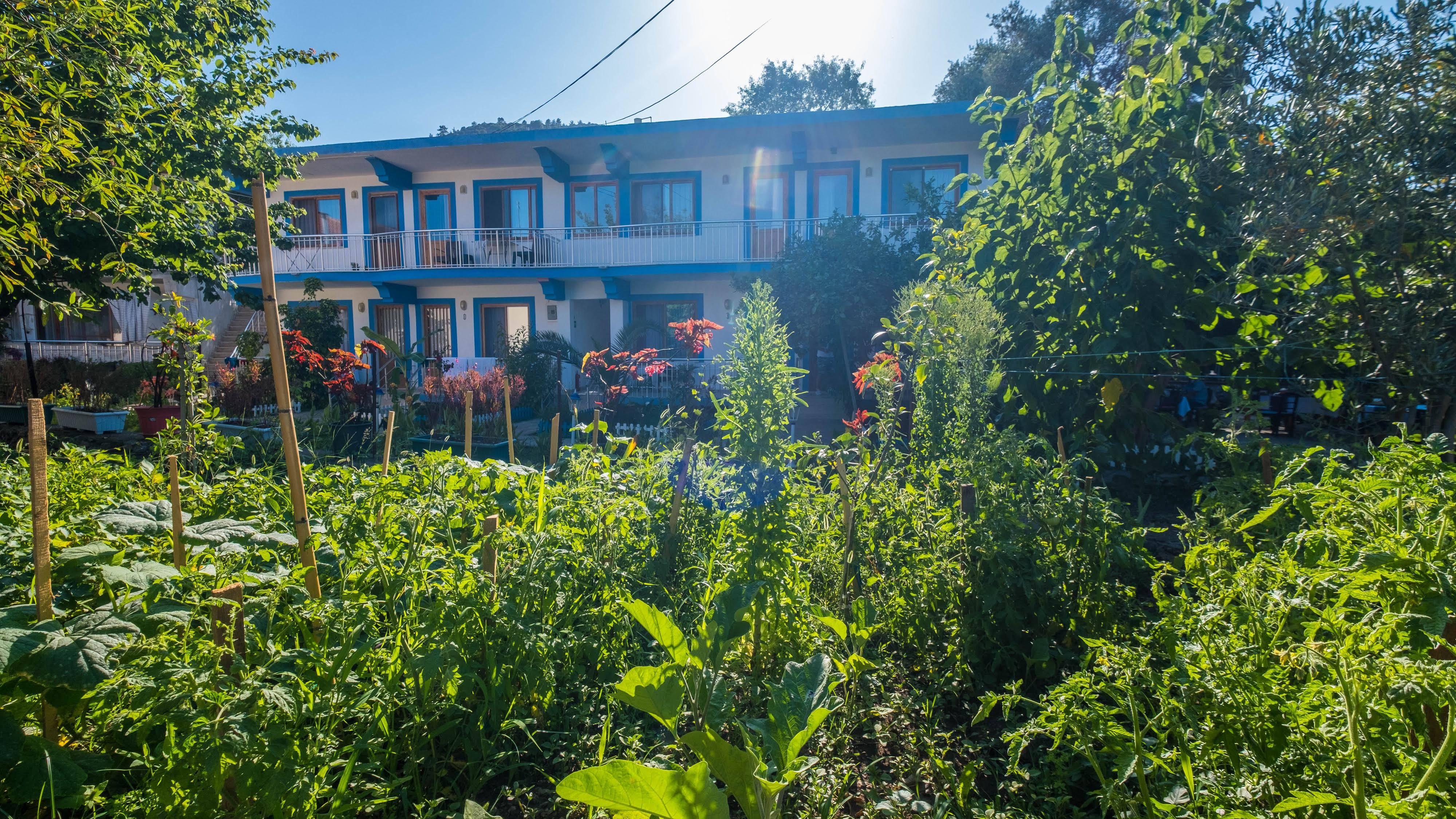 Balalayka Butik Otel Muğla Exterior foto